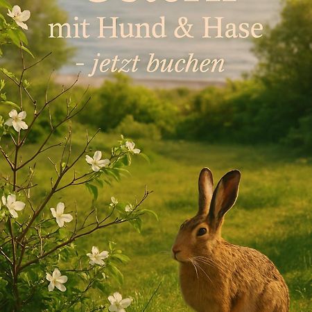 Fewo Ostseele - Julchen Timmendorfer Strand Exterior foto